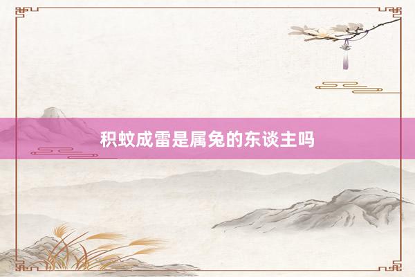 积蚊成雷是属兔的东谈主吗